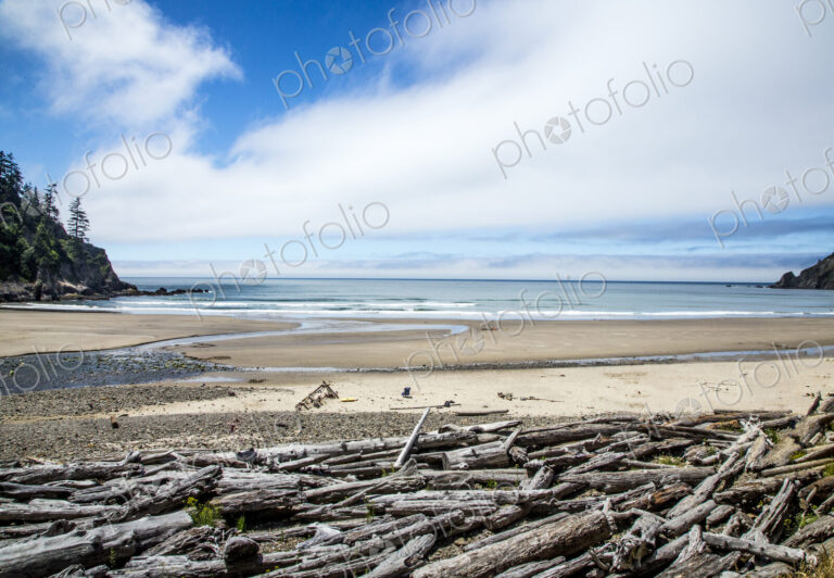 Large driftwood trunks piled on Short Sands Beach.