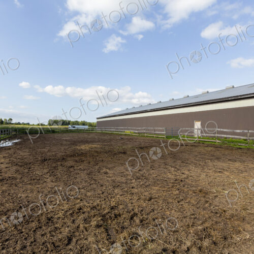Large rural building and paddock in the country. Large rural building and paddock in the country.