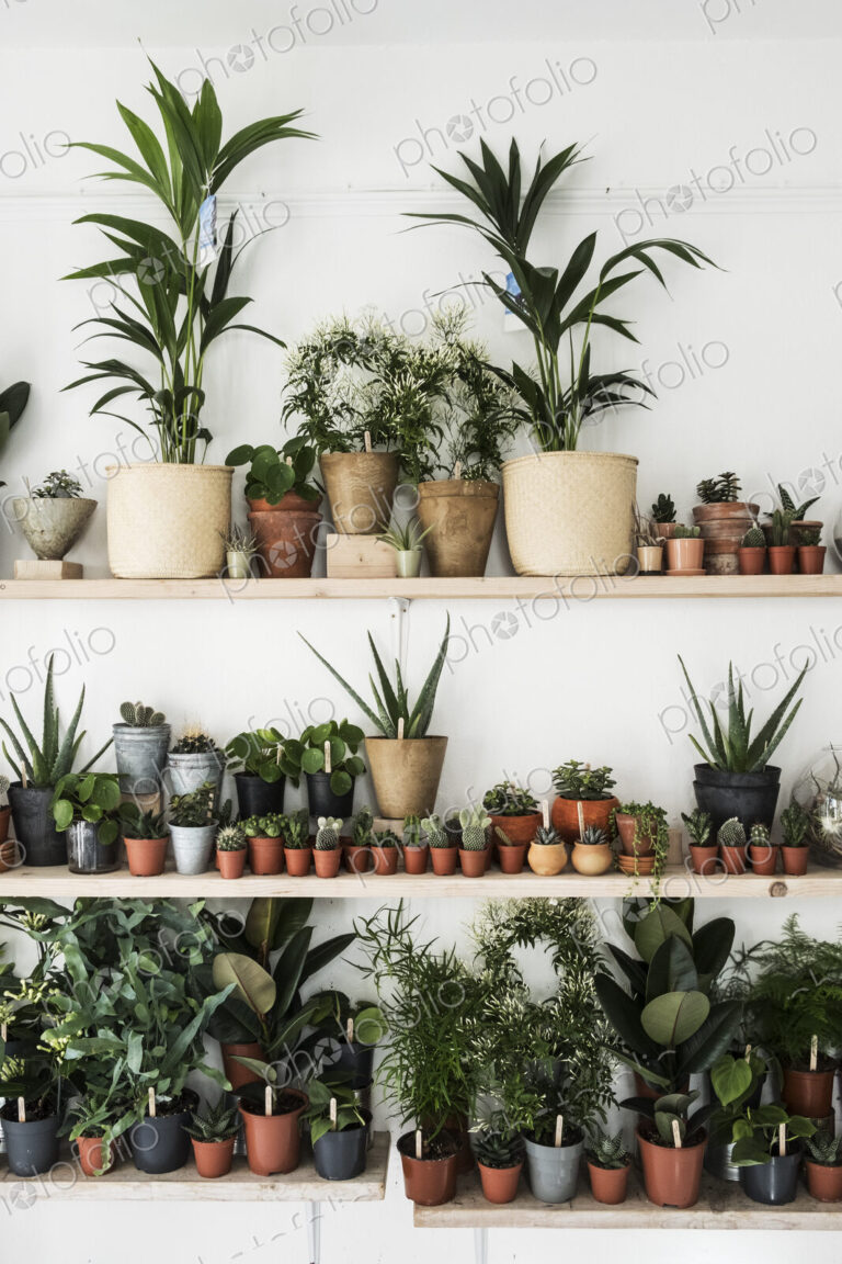 Large selection of plants in flowerpots on shelves in a plant shop.