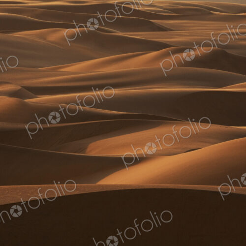 Late afternoon light on the sand dunes stretching the entire length of Namibia's coast… Late afternoon light on the sand dunes stretching the entire length of Namibia's coast…