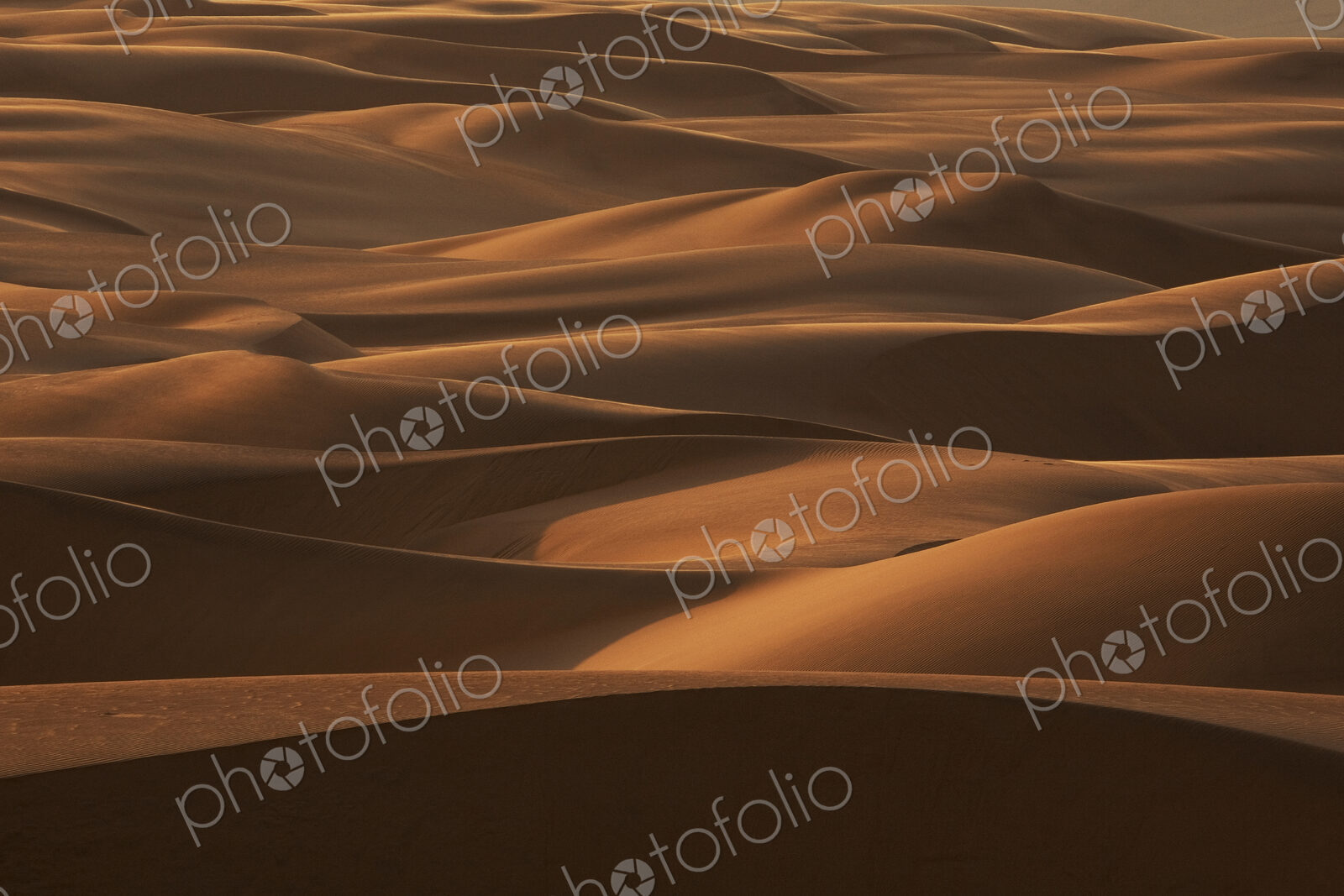 Late afternoon light on the sand dunes stretching the entire length of Namibia’s coast…