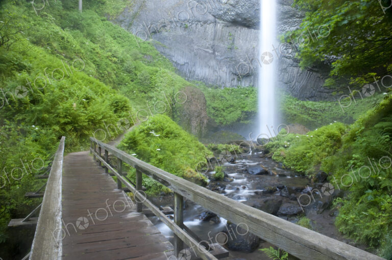 Latourell Falls, a waterfall cascading down the cliffs into the Columbia River Gorge,…