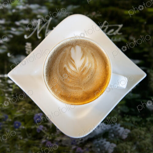 Latte With a Leaf Pattern