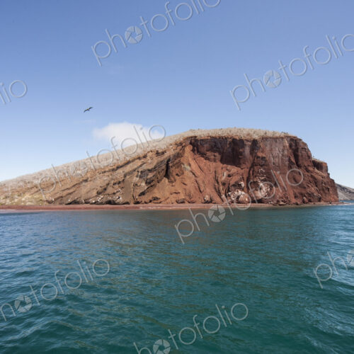 Lava rock in ocean with bird flying above.