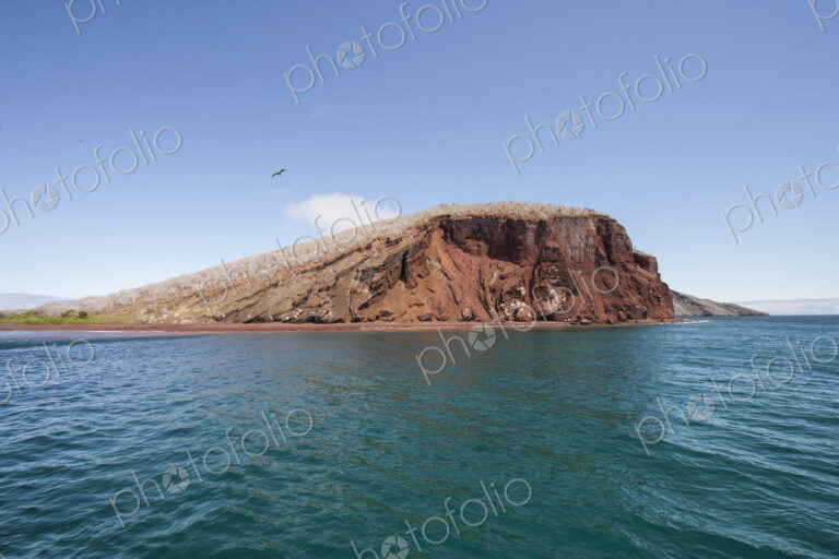 Lava rock in ocean with bird flying above.