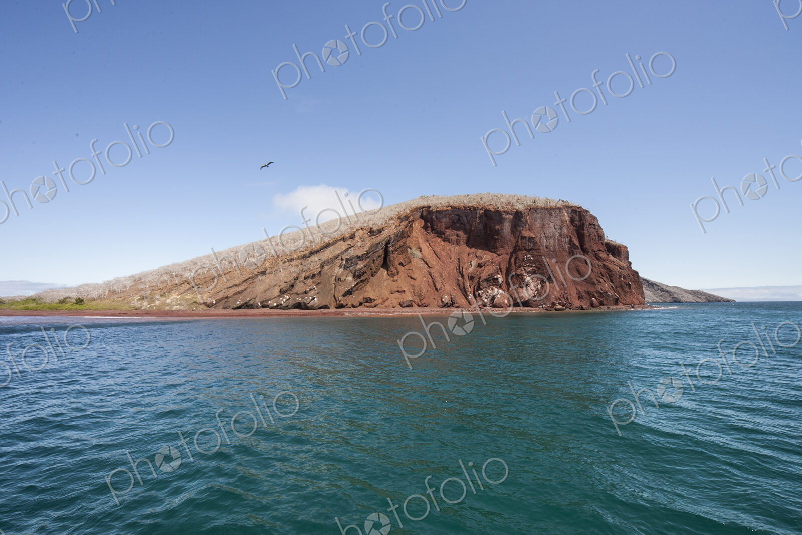 Lava rock in ocean with bird flying above.