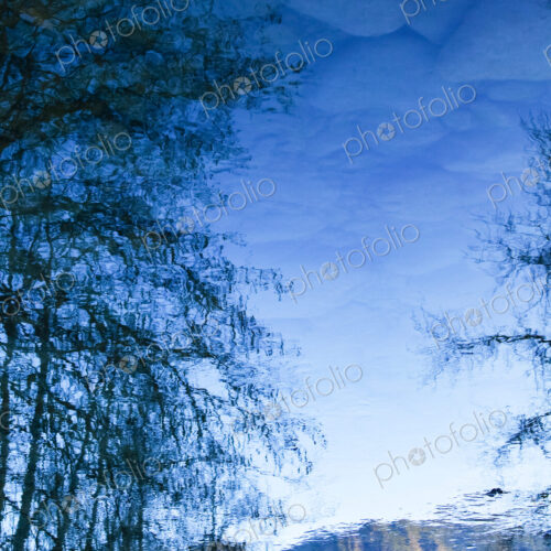 Leafless trees and clouds reflected on the Elwha River, Port Angeles Leafless trees and clouds reflected on the Elwha River, Port Angeles