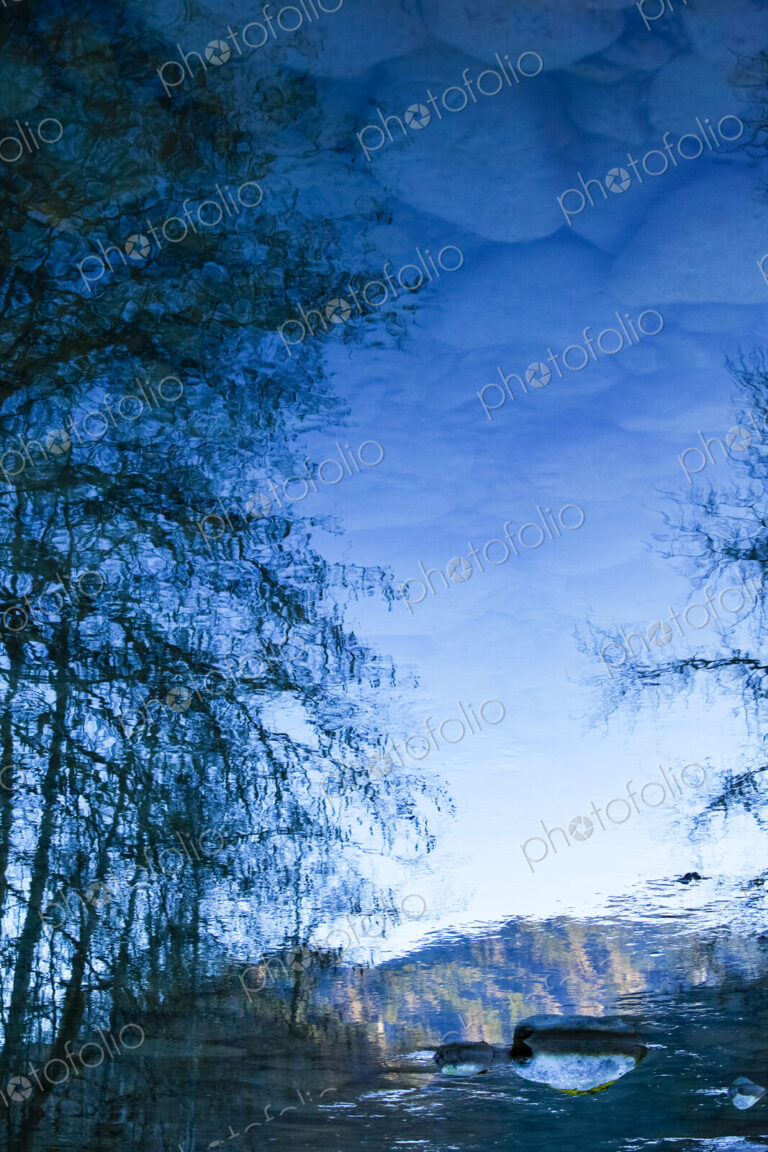 Leafless trees and clouds reflected on the Elwha River, Port Angeles