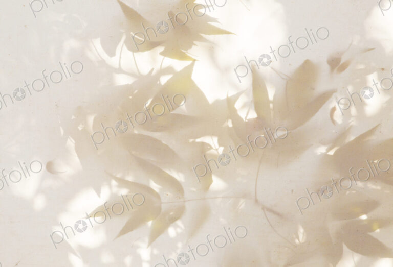 Leaves on a canvas, Mexico