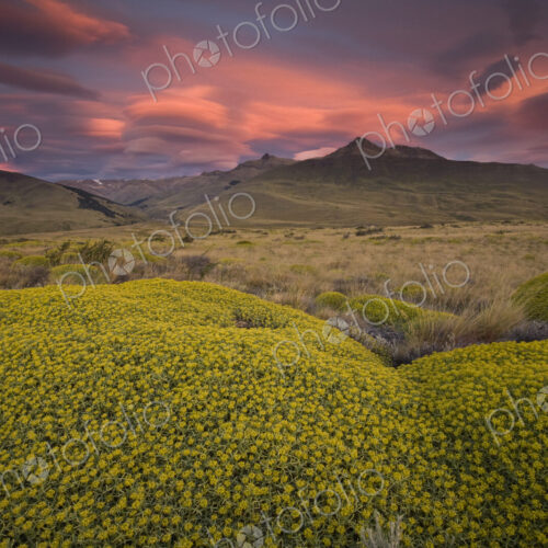 Lenticular clouds in the sky, over the Patagonian landscape. Altocumulus lenticularis, Lenticular clouds in the sky, over the Patagonian landscape. Altocumulus lenticularis,