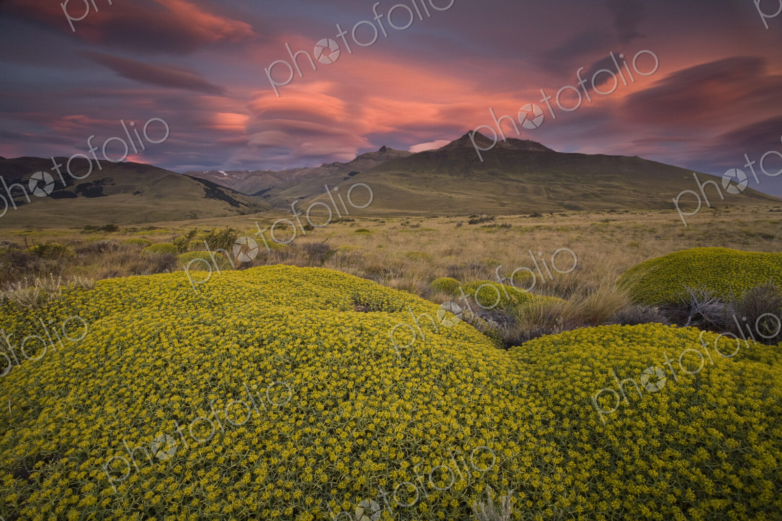 Lenticular clouds in the sky, over the Patagonian landscape. Altocumulus lenticularis,