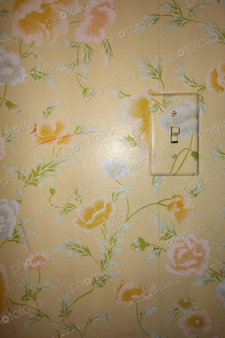 Light switch on a floral patterned wall papered wall
