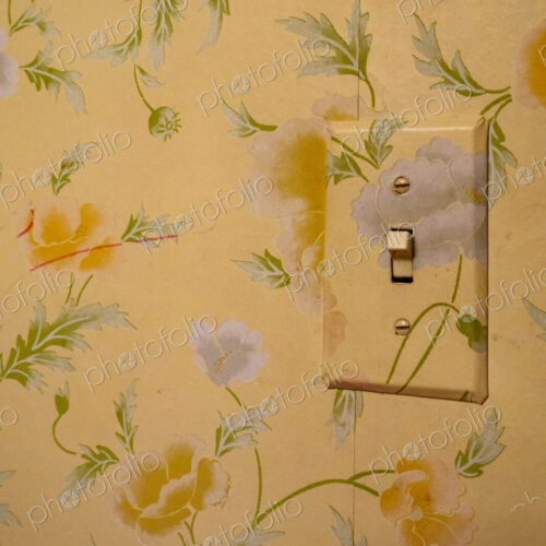 Light switch on a floral patterned wall papered wall