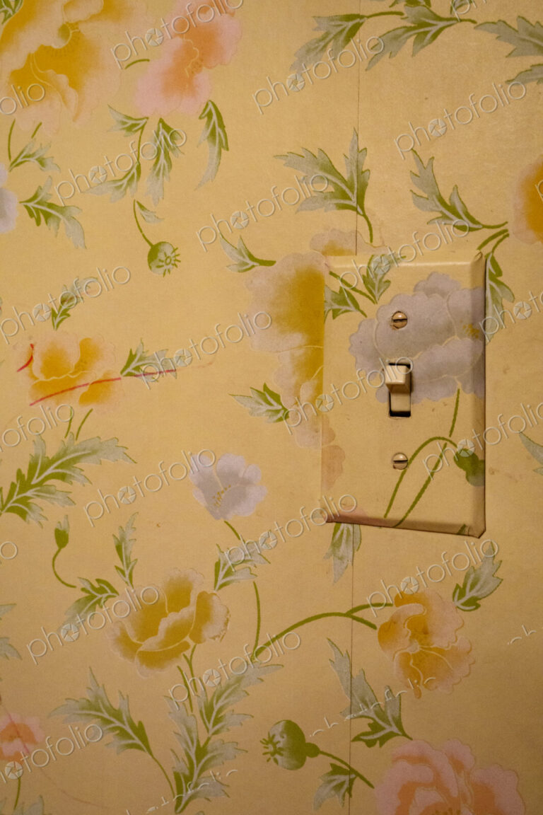 Light switch on a floral patterned wall papered wall