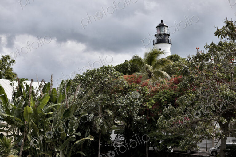 Lighthouse over Treetops