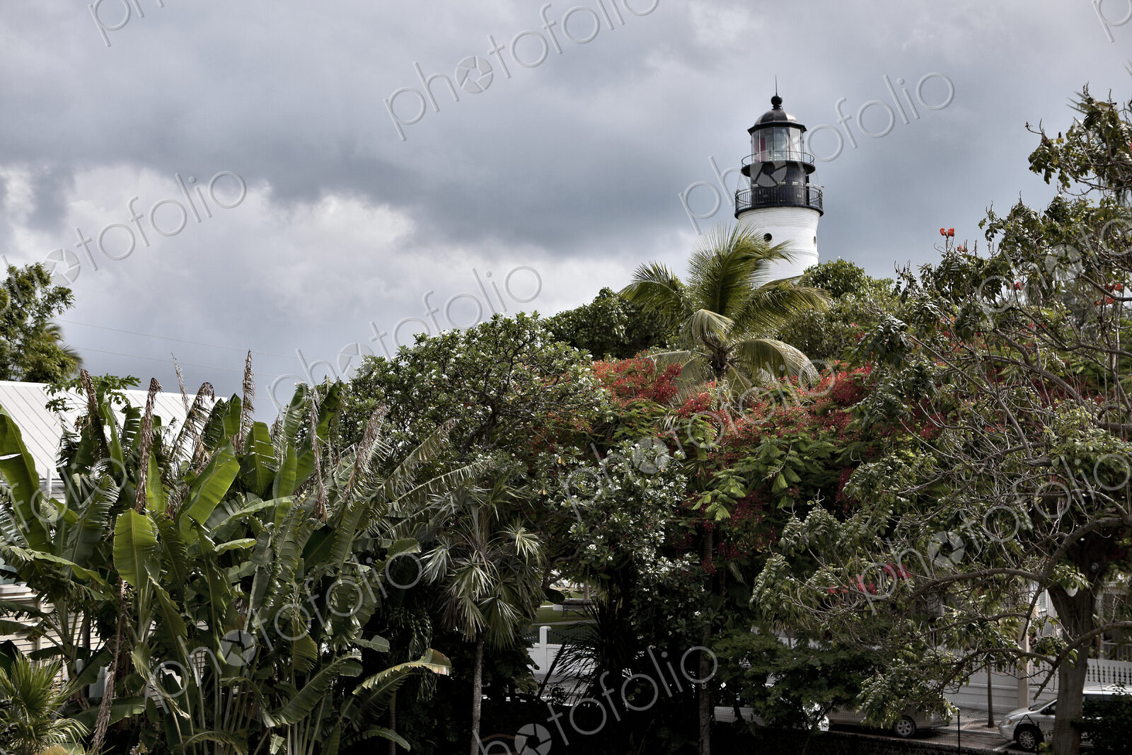 Lighthouse over Treetops