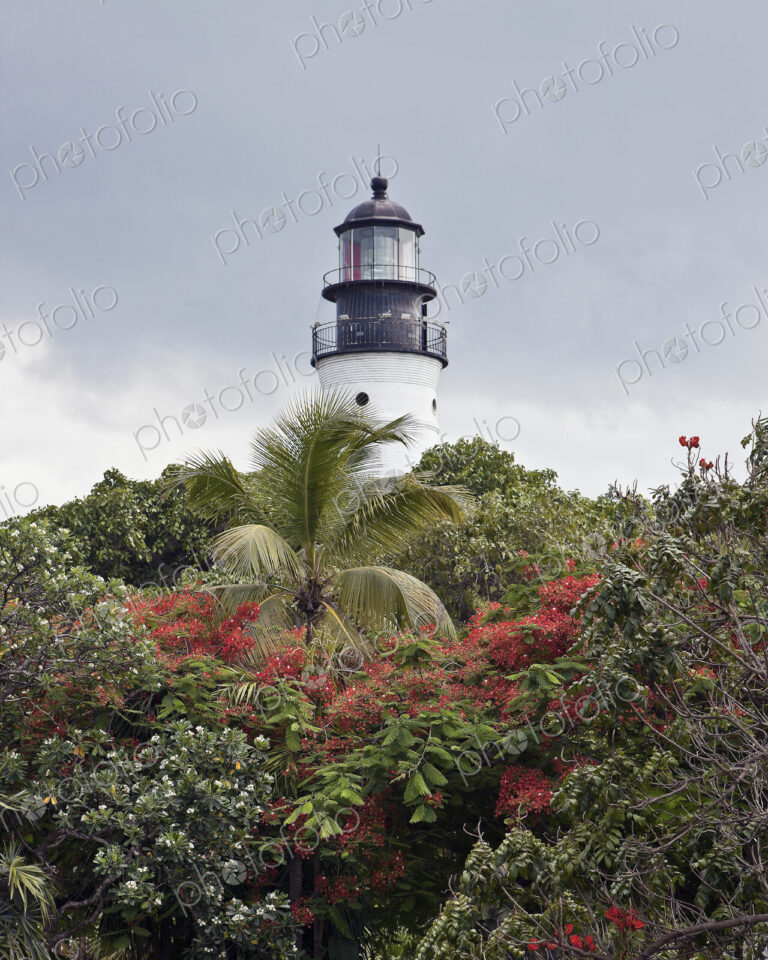 Lighthouse over Treetops