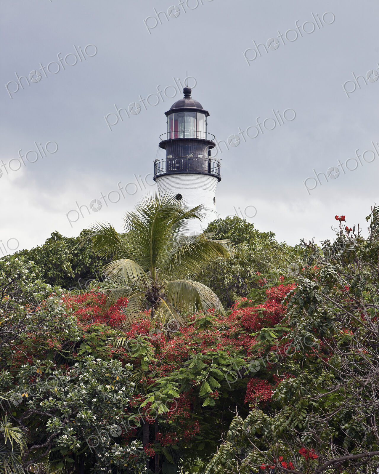Lighthouse over Treetops