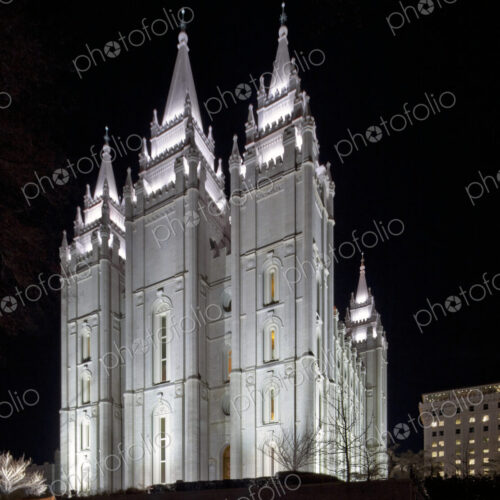 Lit Gothic Cathedral at Night