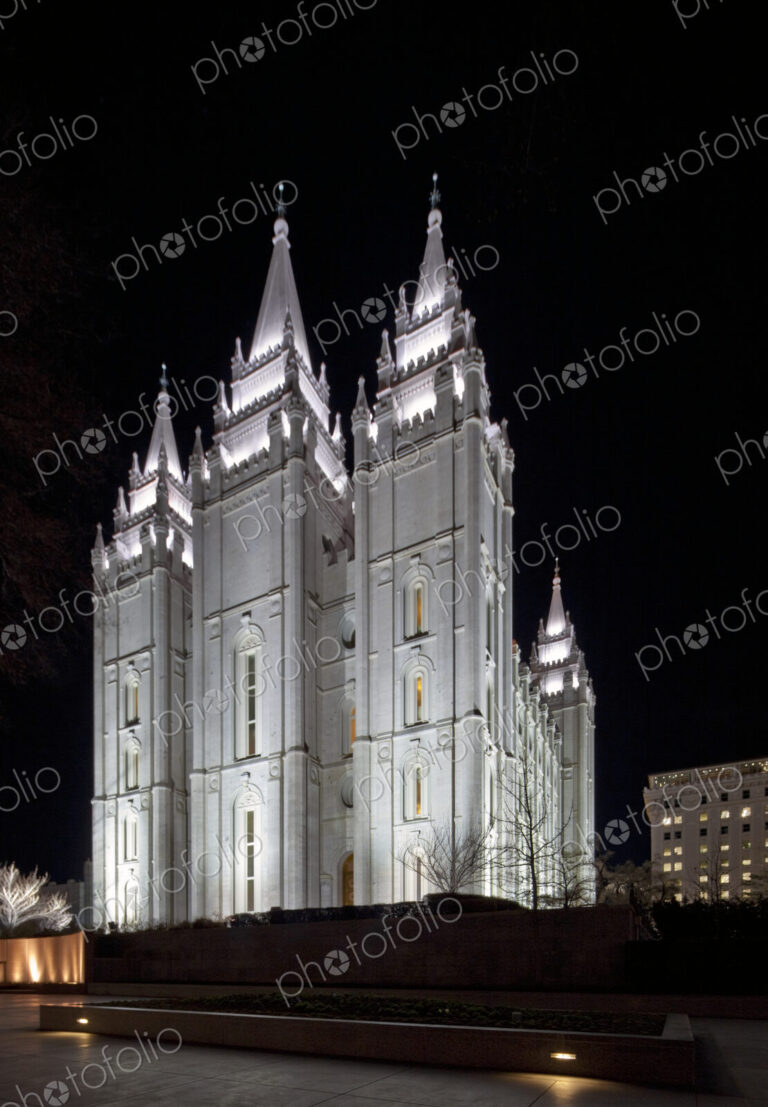 Lit Gothic Cathedral at Night