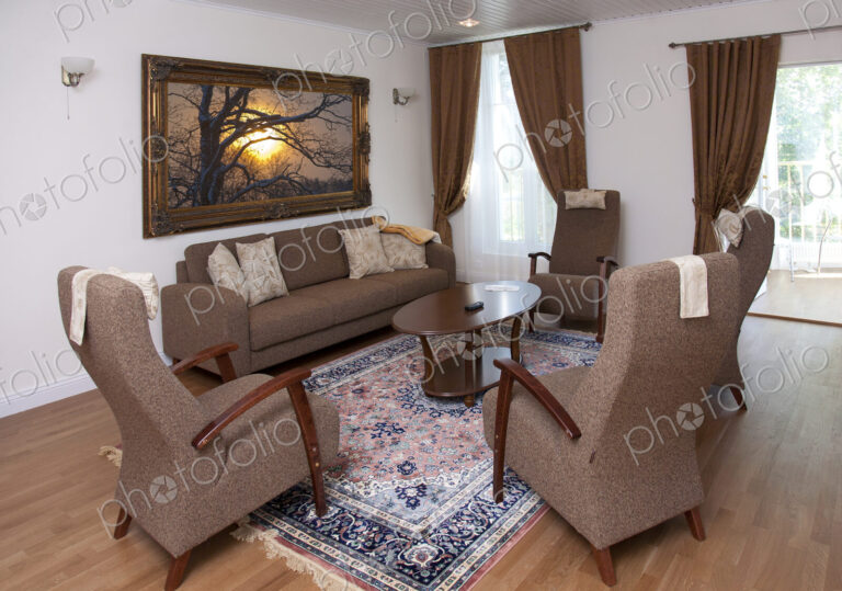 Living Area in Upscale Home