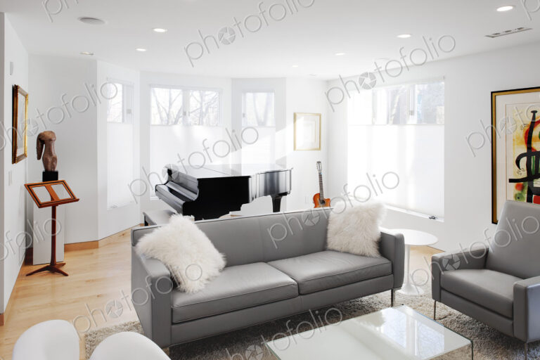 Living Room in a contemporary home