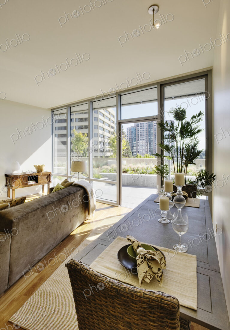 Living room and dining room in luxury highrise apartment