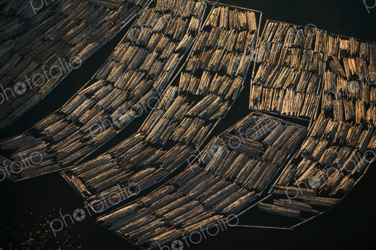 Logs awaiting export, Skagit County, Washington
