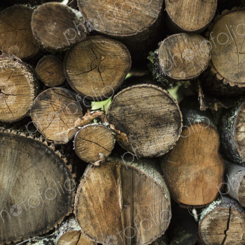 Logs stacked in a pile, view of the sawn ends. Logs stacked in a pile, view of the sawn ends.