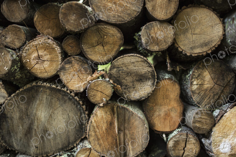 Logs stacked in a pile, view of the sawn ends.