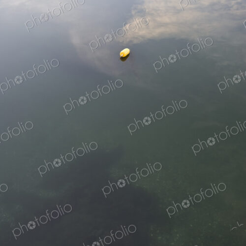 Lone Buoy in the Water