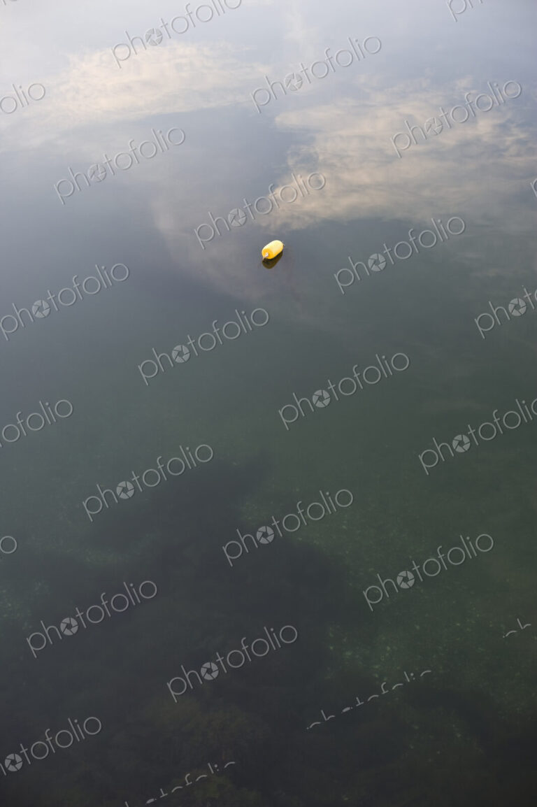 Lone Buoy in the Water