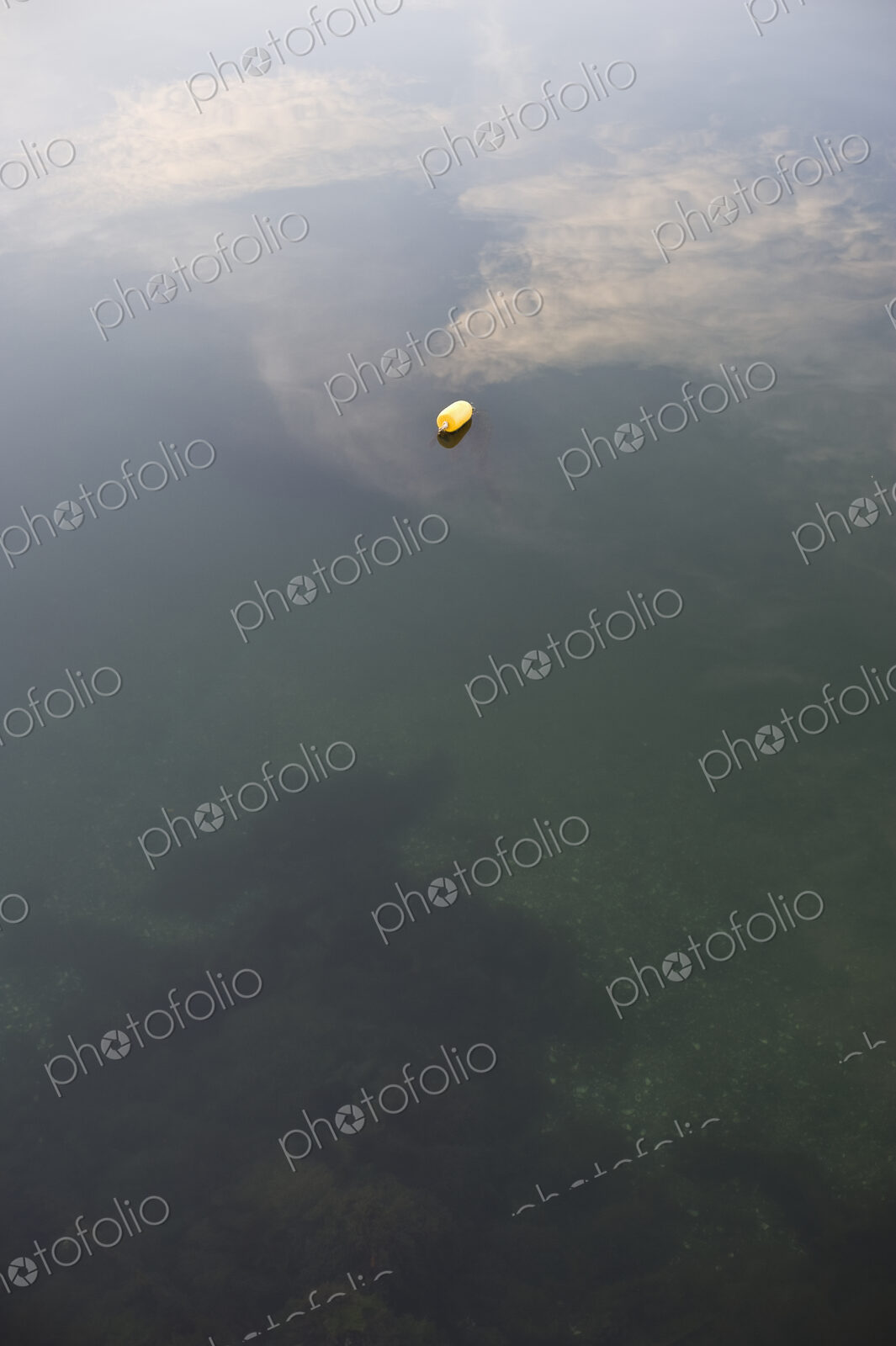 Lone Buoy in the Water