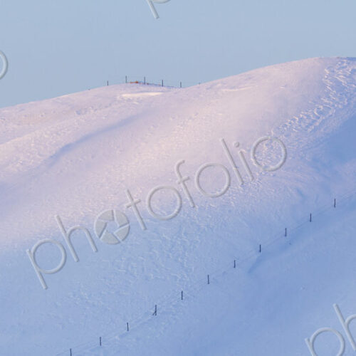 Lone Trees on a Snowy Landscape Lone Trees on a Snowy Landscape