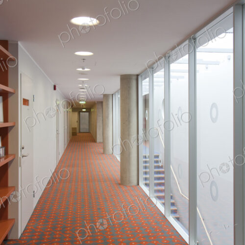 Long Carpeted Hallway Long Carpeted Hallway