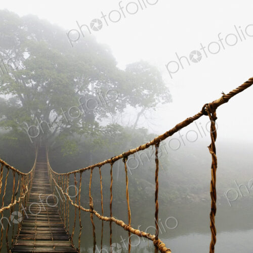 Long Rope Bridge Long Rope Bridge