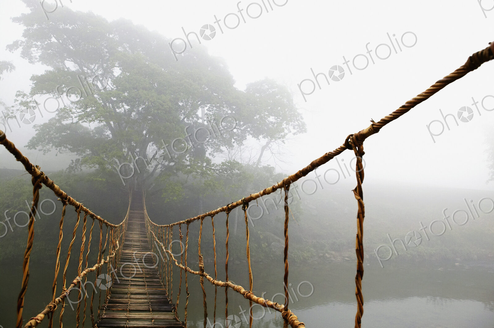 Long Rope Bridge