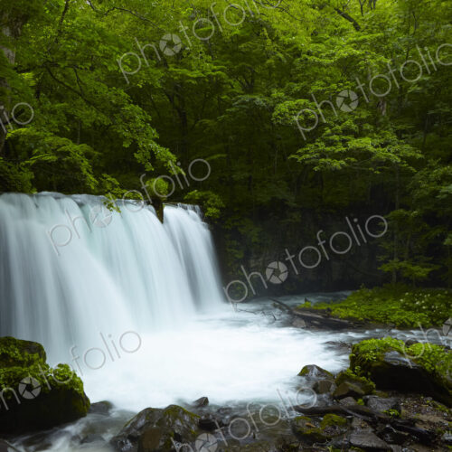 Long exposure of rocky waterfall surrounded by trees with lush green foliage.