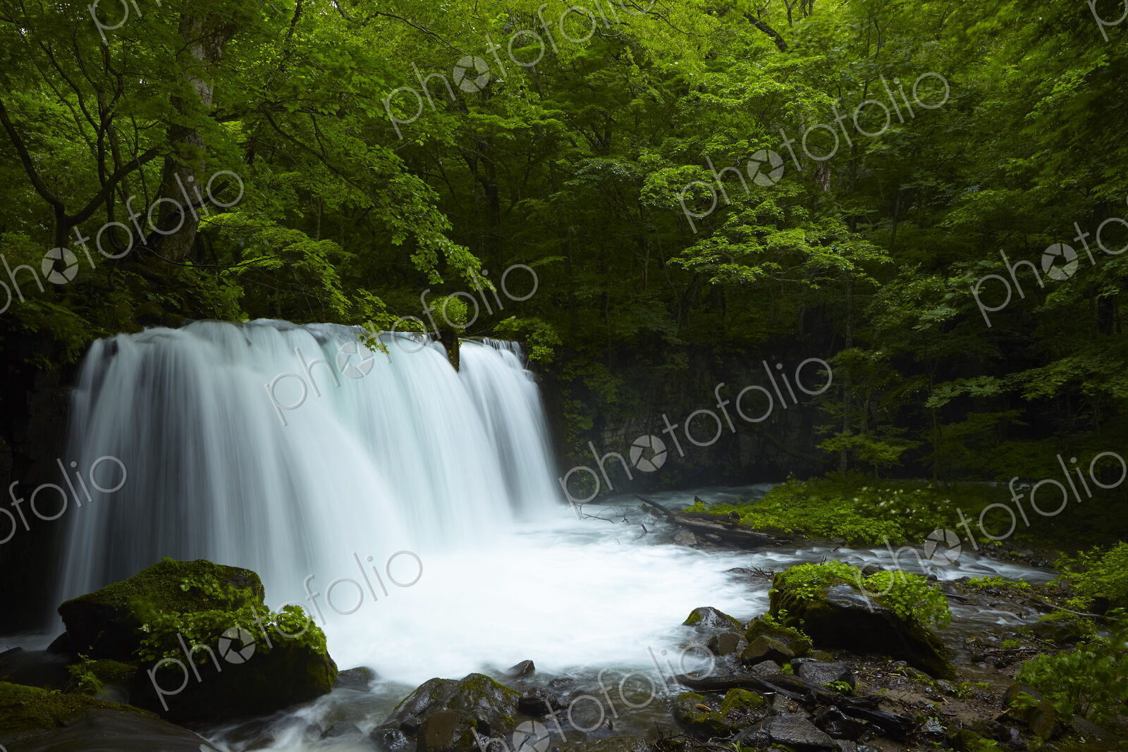 Long exposure of rocky waterfall surrounded by trees with lush green foliage.