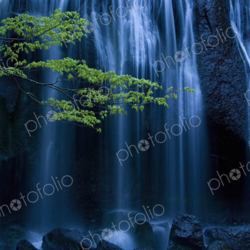 Long exposure of waterfall with branch of Maple tree with green leaves in foreground. Long exposure of waterfall with branch of Maple tree with green leaves in foreground.