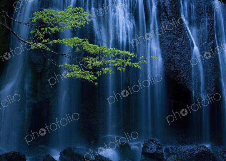 Long exposure of waterfall with branch of Maple tree with green leaves in foreground.
