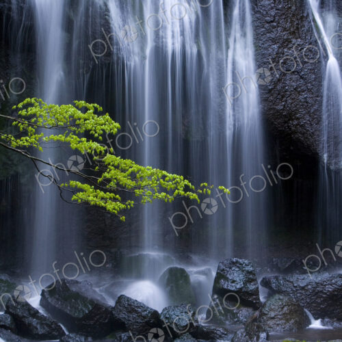 Long exposure of waterfall with branch of Maple tree with green leaves in foreground. Long exposure of waterfall with branch of Maple tree with green leaves in foreground.