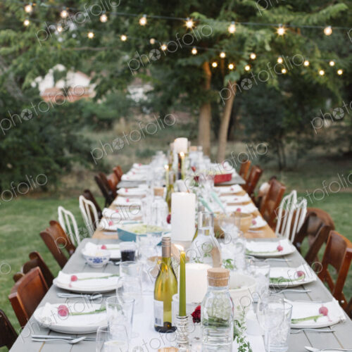 Long table set with plates and glasses, food and drink in a garden.