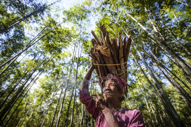 Low angle view of Asian man carrying stick bundle on her head