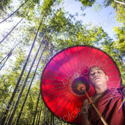 Low angle view of Asian monk-in-training under parasol in forest Low angle view of Asian monk-in-training under parasol in forest