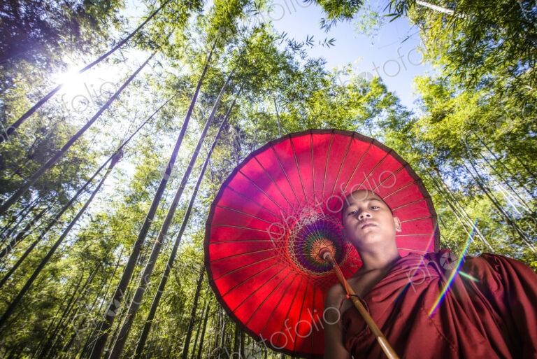 Low angle view of Asian monk-in-training under parasol in forest