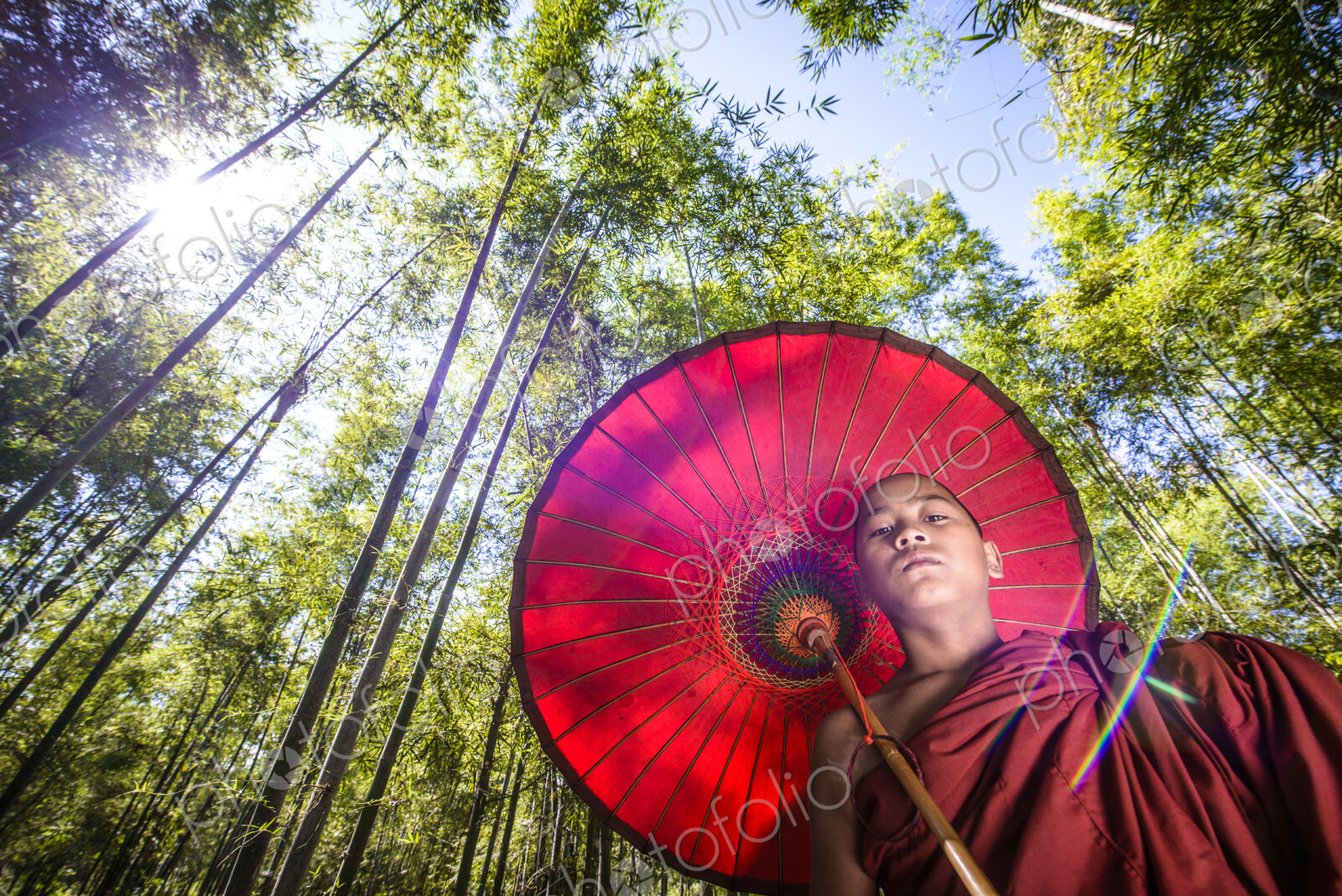 Low angle view of Asian monk-in-training under parasol in forest