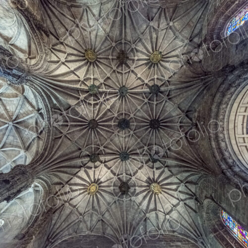 Low angle view of ornate ceiling in Church of Santa Maria, Lisbon, Lisbon, Portugal