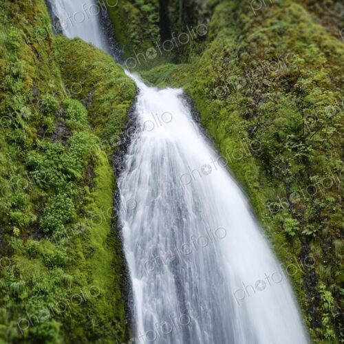 Lush green cliffs cradle the cascading waters of Wahkeena Falls in the Columbia River…
