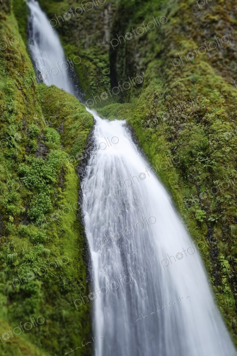 Lush green cliffs cradle the cascading waters of Wahkeena Falls in the Columbia River…